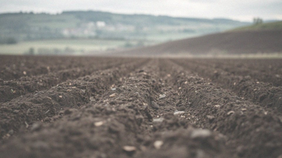 Jakie warunki glebowe sprzyjają zastosowaniu nawozów?
