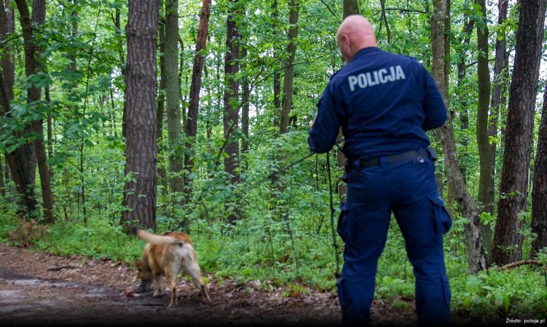 Uwaga na oszustwa inwestycyjne: Apel o zachowanie ostrożności w sieci